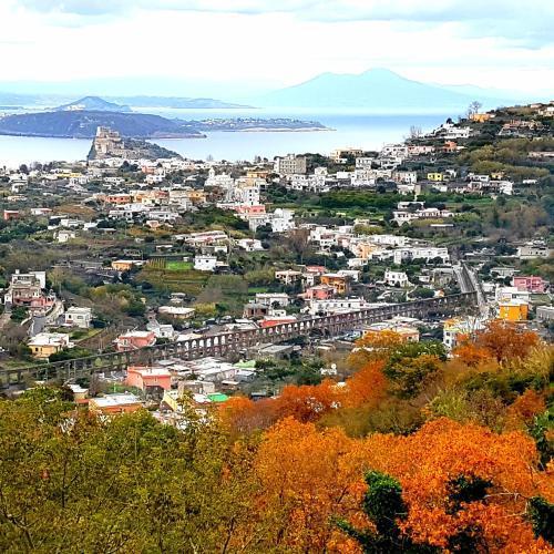 Hotel Parco Conte Casamicciola Terme Eksteriør bilde