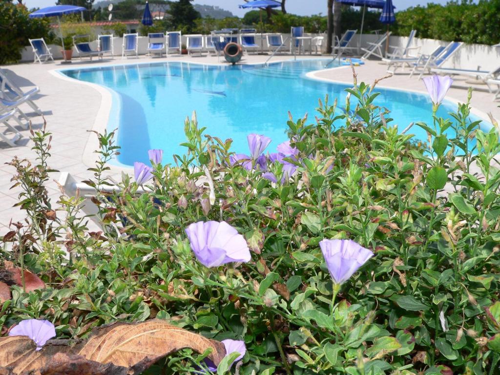 Hotel Parco Conte Casamicciola Terme Eksteriør bilde